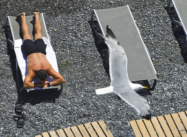 Минтруд и ВОЗ предлагают новые решения для профилактики эмоционального выгорания-0