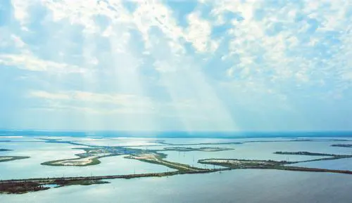 Объём «зелёных» инвестиций «Роснефти» в 2024 году вырос на 16% г/г и достиг 74 млрд рублей