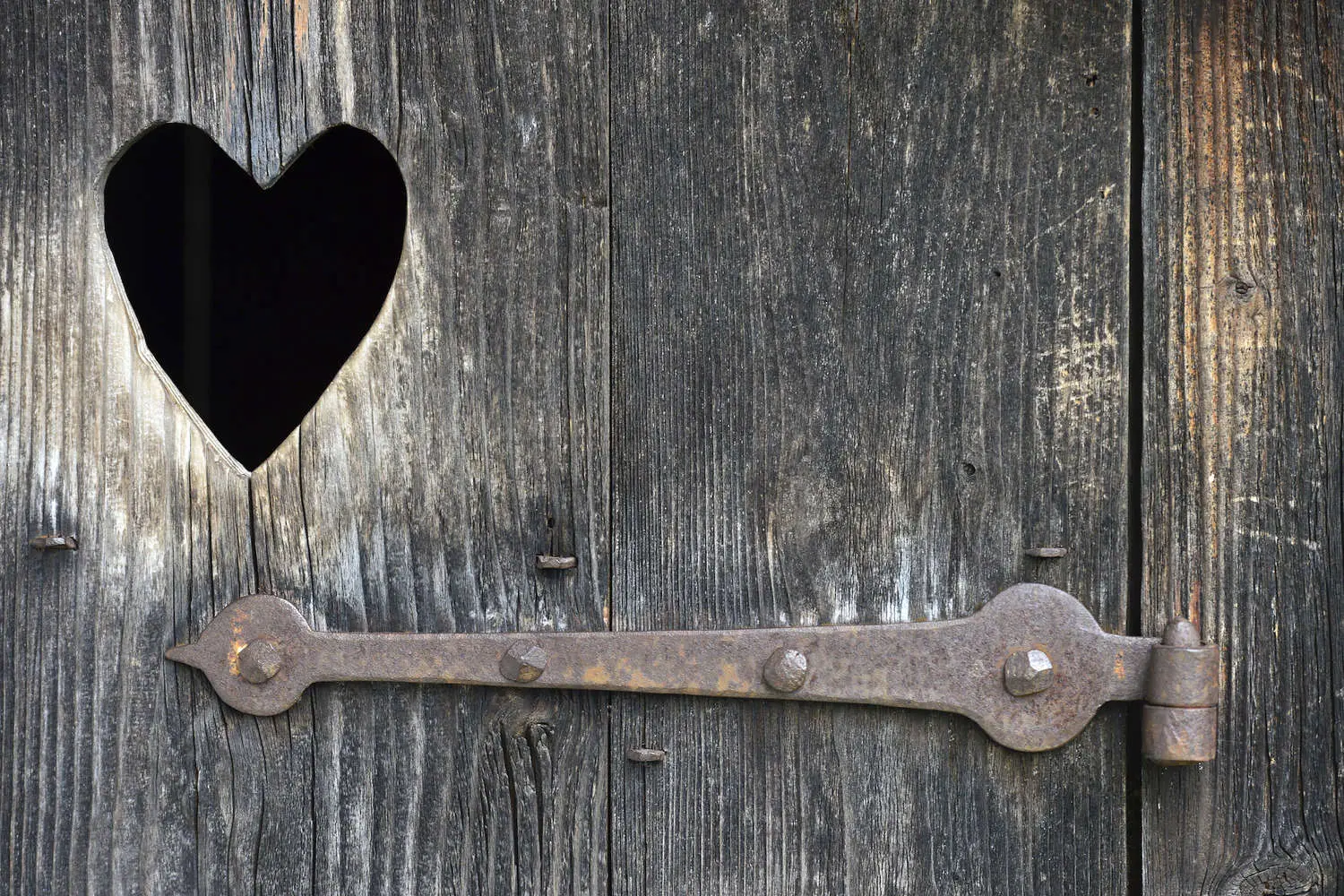 Советы от Daily Mail по улучшению здоровья через изменения в уборной-0