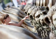 Альберто Барбера приглашает Джима Джармуша и Кейт Бланшетт на Лидо alberto barbera priglashaet dzhima dzharmusha i kejt blanshett na lido-onlymainnews-ru-0