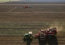 Александр Корбут и АСХОД об усилиях Минсельхоза России по обновлению техники aleksandr korbut i ashod ob usiliyah minselhoza rossii po obnovleniyu tehniki-onlymainnews-ru-0