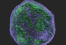 Хидеюки Сая и Университет Фудзита о влиянии бензальдегида на терапию осимертинибом hideyuki saya i universitet fudzita o vliyanii benzaldegida na terapiyu osimertinibom-onlymainnews-ru-0