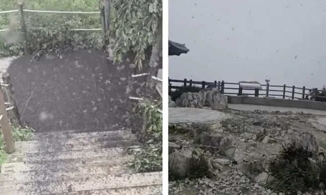 В одних странах аномальная жара, в других — нашествие насекомых | Источник: Рен-ТВ