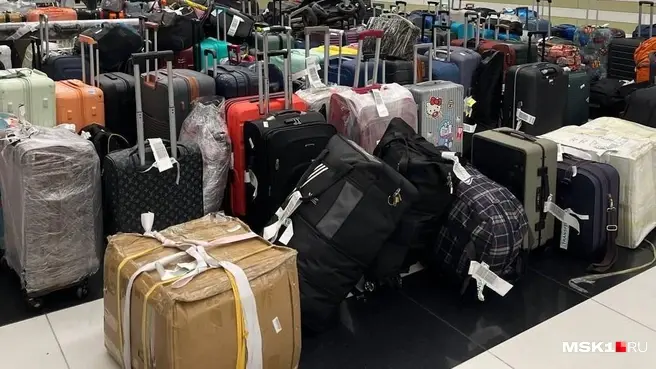 Сотни прилетевших из Турции пассажиров заявили о пропаже своего багажа | Источник: Виктория Чулюкина / MSK1.RU
