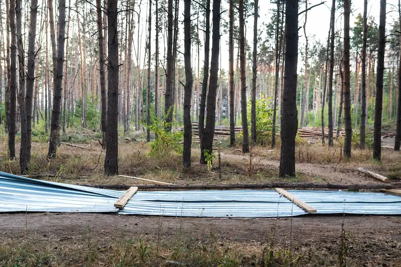 Михаил Малинов стремится получить справедливую компенсацию за участок в Подмосковье через Конституционный суд РФ-0