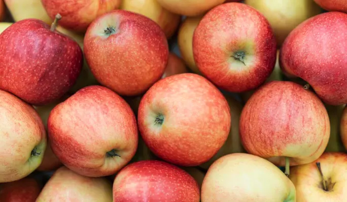 От консервов до печенья: какие продукты отправляют в зону СВО из Москвы