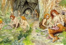 Неандертальцы из Амуд и Кебара раскрыли древние кулинарные традиции neandertalczy iz amud i kebara raskryli drevnie kulinarnye tradiczii-onlymainnews-ru-0