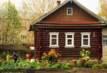 Никита Чаплин и Союз дачников Подмосковья представляют льготные правила для домов nikita chaplin i soyuz dachnikov podmoskovya predstavlyayut lgotnye pravila dlya domov-onlymainnews-ru-0