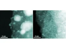 Сколтех и Виктор Чернышев разработали катализатор, экономящий палладий skolteh i viktor chernyshev razrabotali katalizator ekonomyashhij palladij-onlymainnews-ru-0