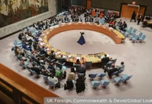 США и Китай вступили в спор на заседании ООН о России и Украине ssha i kitaj vstupili v spor na zasedanii oon o rossii i ukraine-onlymainnews-ru-0