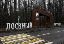 Строительство дороги у Лосиного Острова в Королеве включает важные решения для М-8 "Холмогоры" stroitelstvo dorogi u losinogo ostrova v koroleve vklyuchaet vazhnye resheniya dlya m8 holmogory-onlymainnews-ru-0