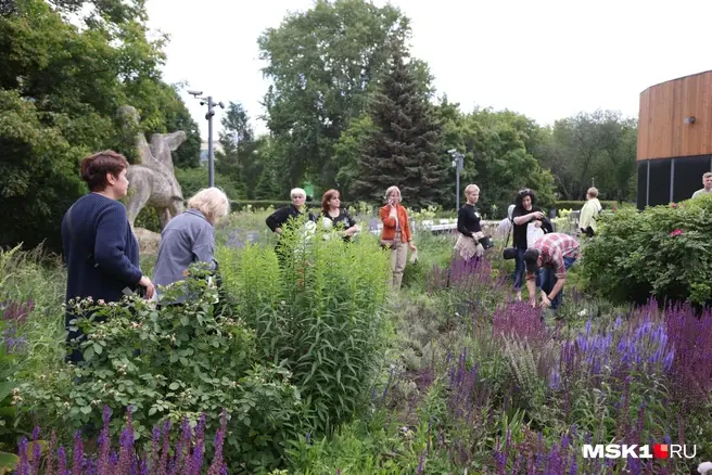 Каждый родитель мог прикрепить на куст лаванды имя своего ребенка | Источник: Татьяна Спиридонова / MSK1.RU