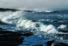 Зинаида Забудкина и Александр Осадчиев из МФТИ исследуют охлаждение Гольфстрима в морях zinaida zabudkina i aleksandr osadchiev iz mfti issleduyut ohlazhdenie golfstrima v moryah-onlymainnews-ru-0