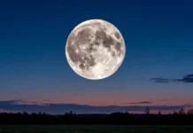 blagopriyatnye dni v avguste 2025 dlya uspeha v delah strizhek i urozhaya-onlymainnews-ru-0