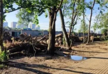 Люди Дудинки защищают сквер возле Лосиноостровской от нового путепровода lyudi dudinki zashhishhayut skver vozle losinoostrovskoj ot novogo puteprovoda-onlymainnews-ru-0