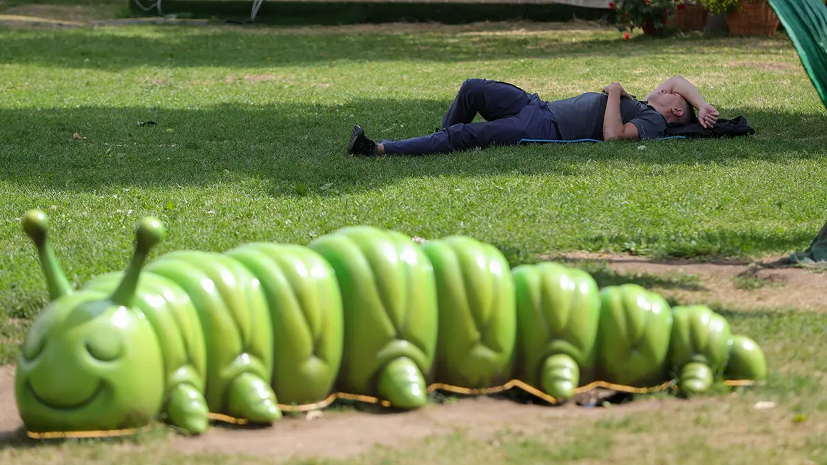 Лето в Москве к 2050 году станет похоже на черноморское