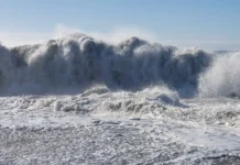 perspektivy vosstanovleniya rybzavoda alaid na paramushire posle czunami-onlymainnews-ru-0