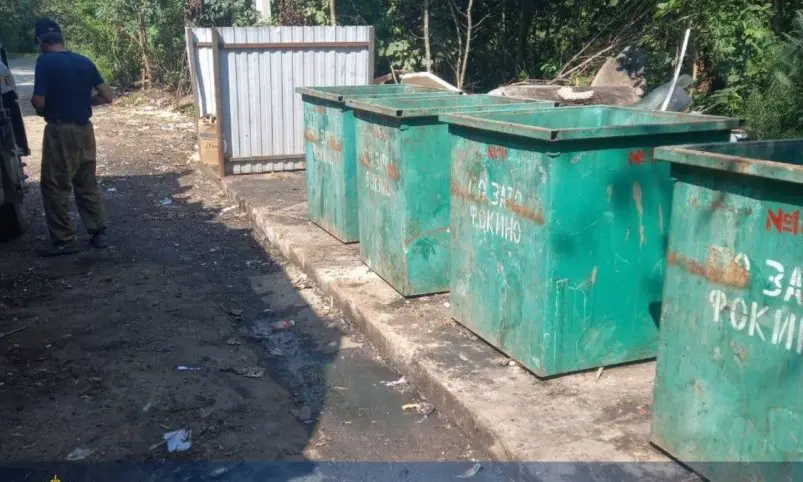 Прокуратура снова вмешалась в проблему вывоза мусора в Приморье Прокуратура Приморского края
