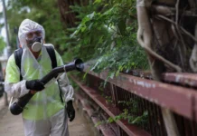 Роспотребнадзор объясняет, как избежать лихорадки чикунгунья в России rospotrebnadzor obyasnyaet kak izbezhat lihoradki chikungunya v rossii-onlymainnews-ru-0