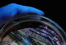 Российский научный фонд и Константин Саватеев представили новые соединения для лечения осложнений диабета rossijskij nauchnyj fond i konstantin savateev predstavili novye soedineniya dlya lecheniya oslozhnenij diabeta-onlymainnews-ru-0