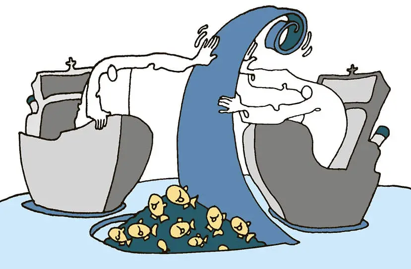 Успехи российского экспорта рыбы на рынках Китая, Японии и Нигерии-0