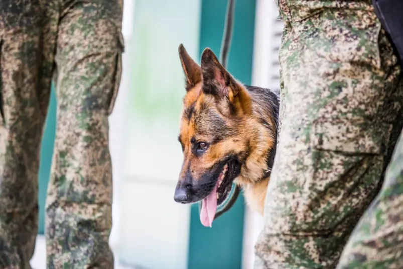 Фото: primamedia.ru