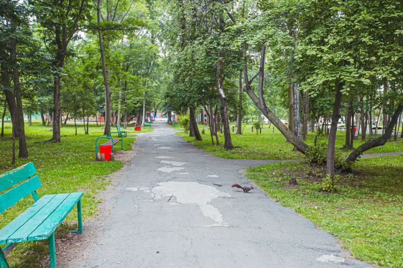 Фото: primamedia.ru