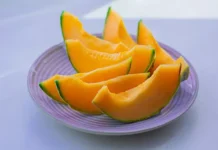 Зарема Тен рекомендует ограничивать потребление дыни в летнем меню zarema ten rekomenduet ogranichivat potreblenie dyni v letnem menyu-onlymainnews-ru-0