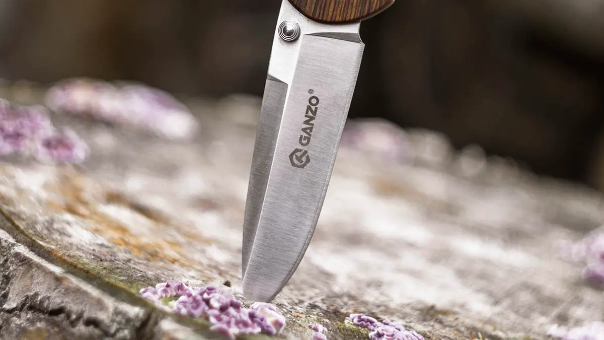 Источник: Напавший на сотрудников техникума в Архангельске ранил двух женщин