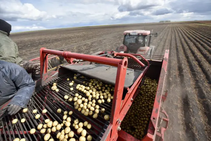 Денис Паслер сообщил о рекордном урожае и подготовке к зиме в Свердловской области-0