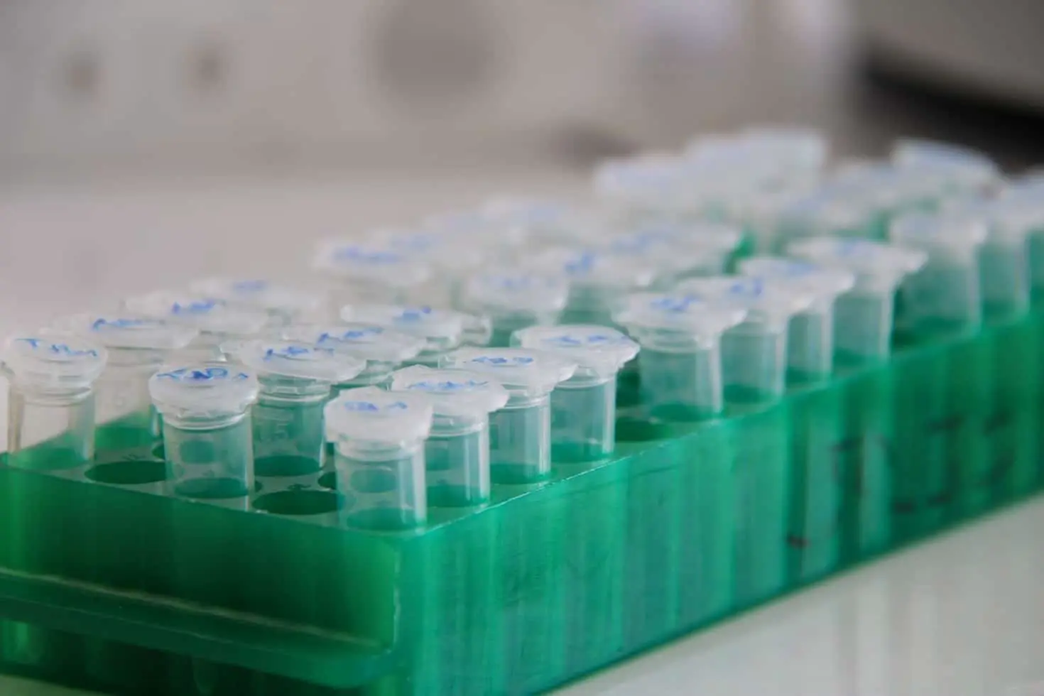 Екатерина Денисламова и Пермский Политех разработали новый обезболивающий диклофенак-0