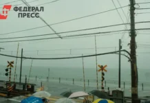 Ксения и Максим пережили супертаифун «Рагаса» в Гонконге и хотят вернуться домой kseniya i maksim perezhili supertaifun ragasa v gonkonge i hotyat vernutsya domoj-onlymainnews-ru-0