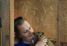 kyubz zapuskaet uvlekatelnuyu shkolu yunyh biologov v ekaterinburgskom zooparke-onlymainnews-ru-0