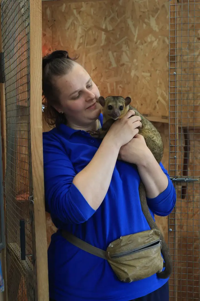 КЮБЗ запускает увлекательную Школу юных биологов в Екатеринбургском зоопарке-0