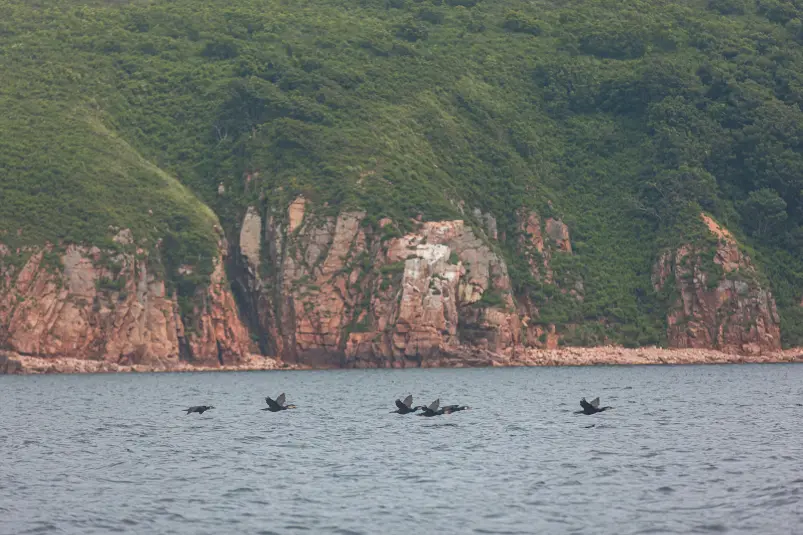 Фото: primamedia.ru