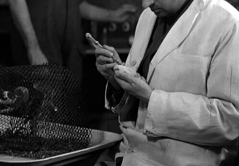 Открытие А. С. Розенблюма и вклад профессора Вагнера-Яурегга в прогрессивное лечение-0