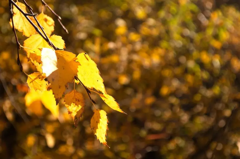 Фото: primamedia.ru