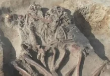 В Иновроцлаве близ Орлово обнаружено уникальное захоронение эпохи мезолита v inovroczlave bliz orlovo obnaruzheno unikalnoe zahoronenie epohi mezolita-onlymainnews-ru-0