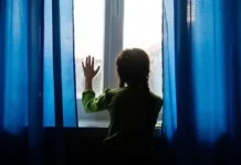 v sanktpeterburge doch bojcza svo stolknulas s konfliktom semi i zakona-onlymainnews-ru-0