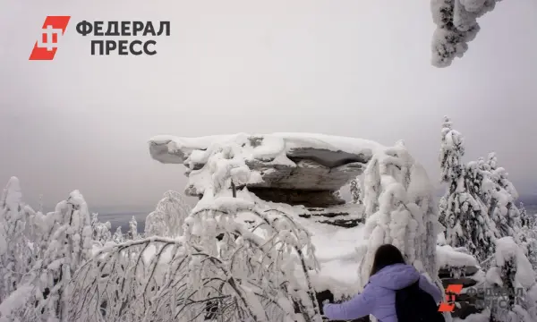 Акустический излучатель поможет найти семью Усольцевых в Красноярском крае-0