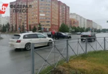 Александр Багно предложил меры по безопасности пешеходов, опираясь на опыт Светланы Ахардиновой aleksandr bagno predlozhil mery po bezopasnosti peshehodov opirayas na opyt svetlany ahardinovoj-onlymainnews-ru-0