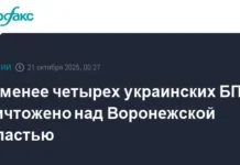 Александр Гусев сообщил об атаке БПЛА на Воронежскую область ночью aleksandr gusev soobshhil ob atake bpla na voronezhskuyu oblast nochyu-onlymainnews-ru-0
