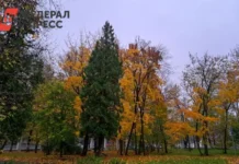 chelyabinsk vstretit subbotu 18 oktyabrya s mokrym snegom i solnechnymi prosvetami-onlymainnews-ru-0