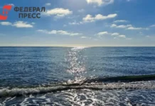 Экономист Ильяшенко рассказала о способах экономии на путевках в Египте и Турции при их подорожании на 5–10% ekonomist ilyashenko rasskazala o sposobah ekonomii na putevkah v egipte i turczii pri ih podorozhanii na 510-onlymainnews-ru-0