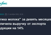 Экспорт молока Руслана Алисултанова вырос на 14% благодаря амбициозным планам eksport moloka ruslana alisultanova vyros na 14 blagodarya ambiczioznym planam-onlymainnews-ru-0