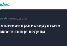 Гидрометцентр России обещает москвичам теплый финал недели и комфортные выходные gidrometczentr rossii obeshhaet moskvicham teplyj final nedeli i komfortnye vyhodnye-onlymainnews-ru-0