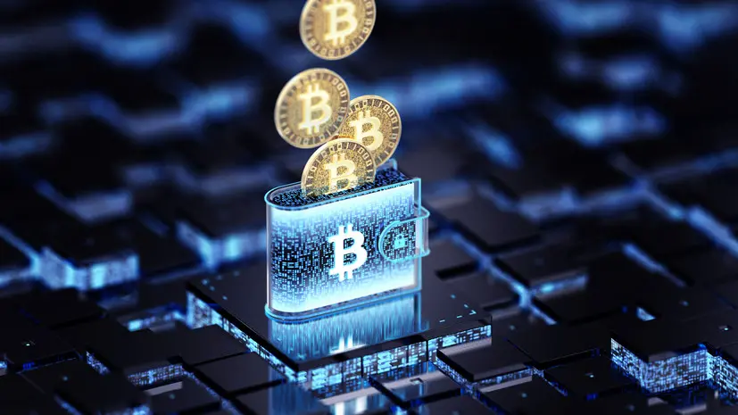 В Госдуме предложили признавать криптовалюту совместно нажитым имуществом