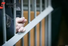 Итоги недели на юге России с Сергеем Лём и событиями в Махачкале itogi nedeli na yuge rossii s sergeem lyom i sobytiyami v mahachkale-onlymainnews-ru-0