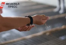 КФХ Прокуткина и Игорь Осипов развивают ГОСТовский геркулес в Ишимском округе kfh prokutkina i igor osipov razvivayut gostovskij gerkules v ishimskom okruge-onlymainnews-ru-0