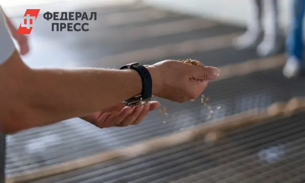 КФХ Прокуткина и Игорь Осипов развивают ГОСТовский геркулес в Ишимском округе-0